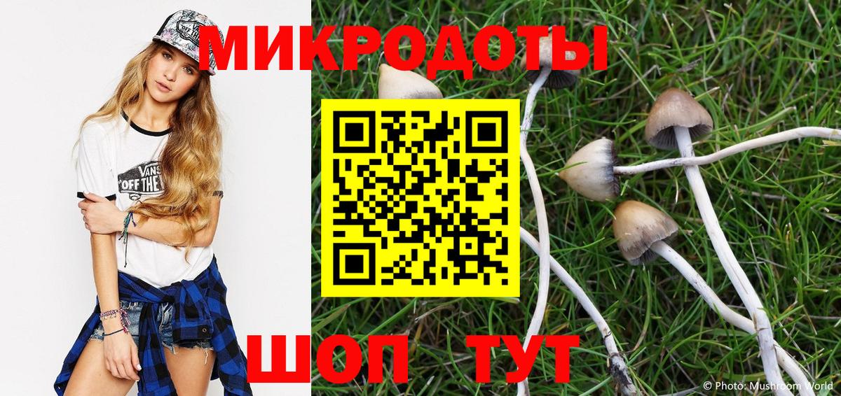 Псилоцибиновые грибы Psilocybe  Вход с VPN  Армавир 